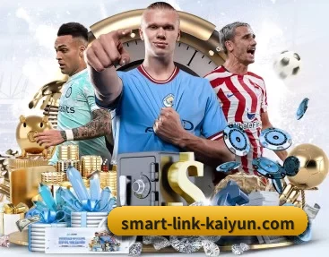 smart-link-kaiyun.com的故事