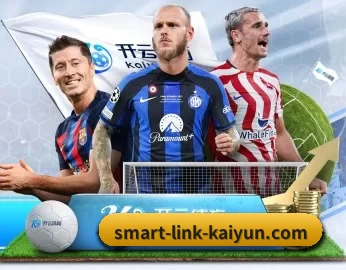 smart-link-kaiyun.com的故事